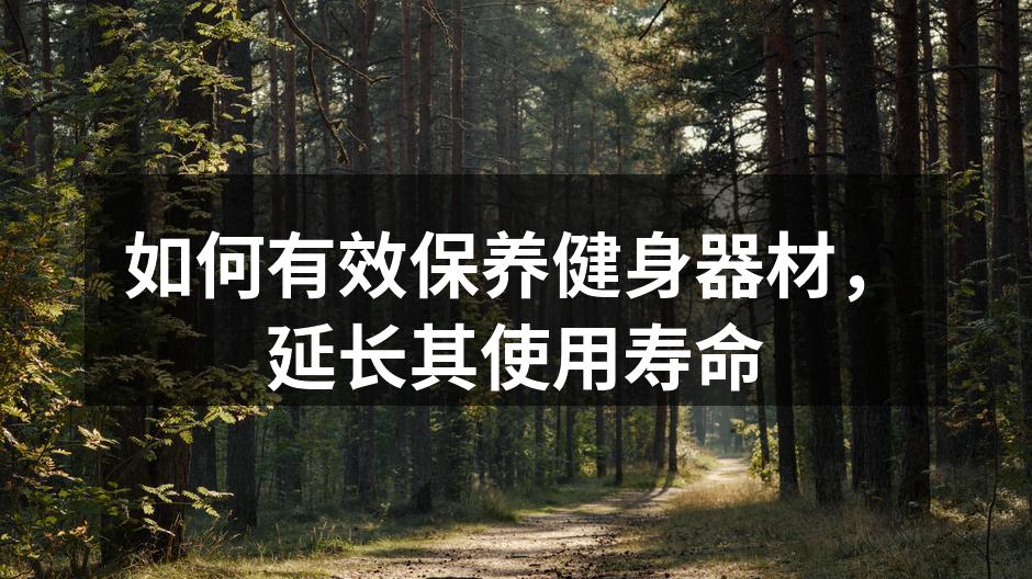 如何有效保养健身器材，延长其使用寿命